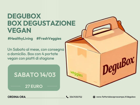Degubox 14 Marzo 2026