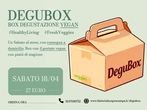 Degubox 18 Aprile 2026