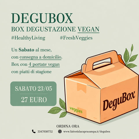 Degubox Maggio 2026