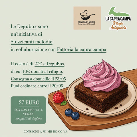 degubox vegan maggio
