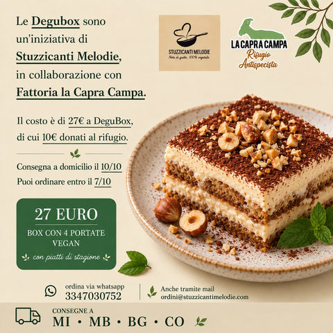 vegan box ott